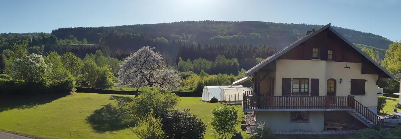 Les Jumeaux Granges-sur-Vologne Exterior foto